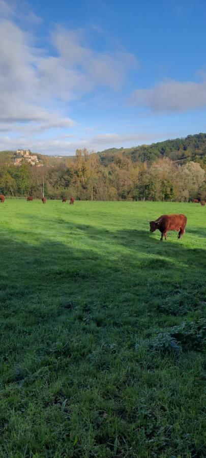Le Cocon Beaujolais Villa Chatillon  Bagian luar foto